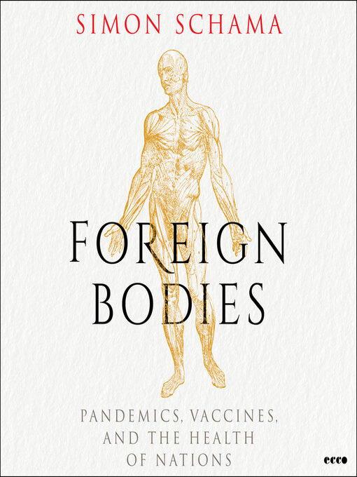 Cover image for Foreign Bodies